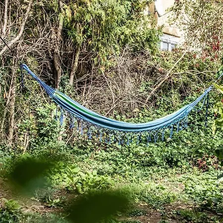 Pouringraz Fuer Kunst- Und Tennisliebhaber Graz