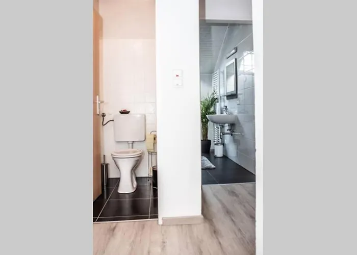 Pouringraz Fuer Kunst- Und Tennisliebhaber Graz