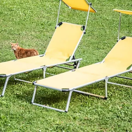 Pouringraz Für Kunst- Und Tennisliebhaber