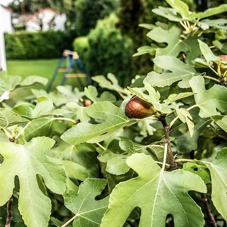 Pouringraz Für Kunst- Und Tennisliebhaber * Graz