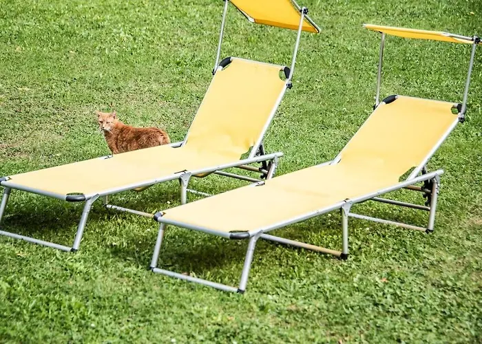 Pouringraz Für Kunst- Und Tennisliebhaber