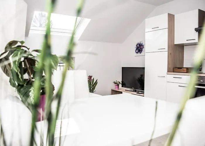 Pouringraz Fuer Kunst- Und Tennisliebhaber Apartament