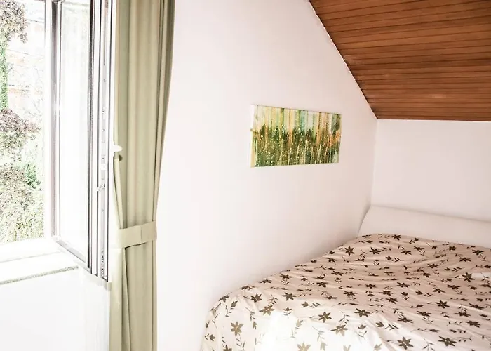 Pouringraz Für Kunst- Und Tennisliebhaber *